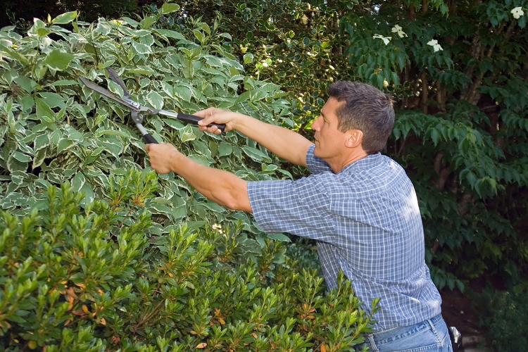 садовник во Владимире